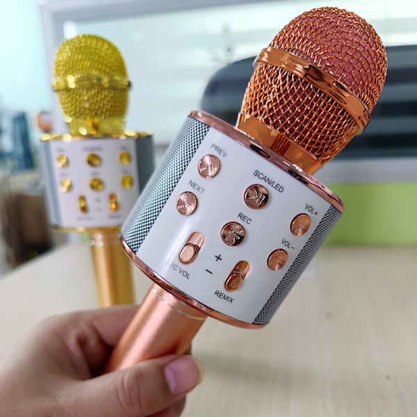 2 kappaletta ruusukullanväristä lasten mikrofonia, karaoke-mikrofoni syntymäpäiville