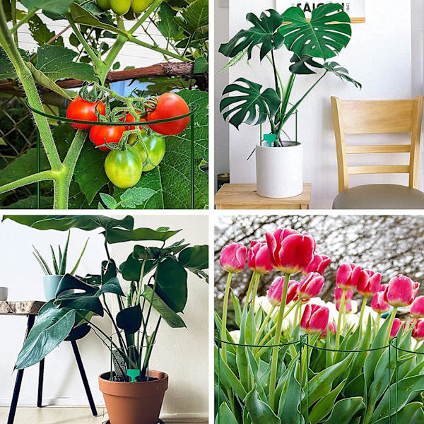 10 puutarhakasvien tukikeppiä, puolipyöreä puutarhakasvien tukikeppi tomaatille, pionille, hortensia, köynnökselle, kiipeilykasveille, kukille sisä- ja ulkokäyttöön (20 x 35 cm)