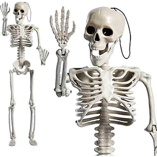 16 tommer Halloween Skelet Fuld Krop Poserbar Bevægelige Jonints til