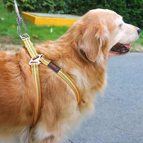 Hunde Bindekabel, 15M(49ft) Hunde Kabel Heavy Duty Bindekabel