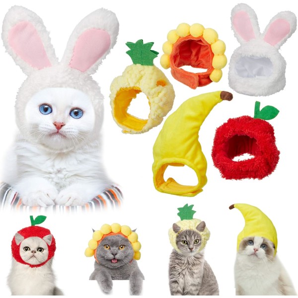 5 st kattmössor kattkostym kaninhatt med öron rolig ananas