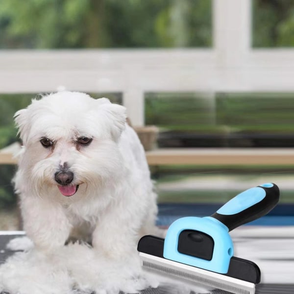 Hund- och kattborste - New Generation Grooming Brush - Pälsvård för L