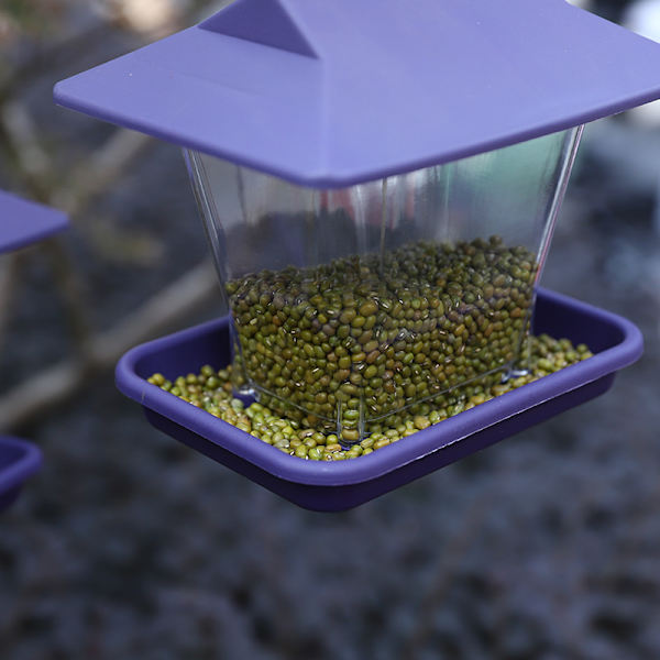 Purppura - Lintujen syöttölaite Ulkona Lintujen syöttölaite Kolibri Veden syöttölaite