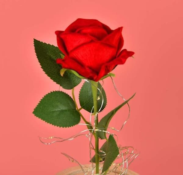 Værelse Dekoration, Rose Natlys