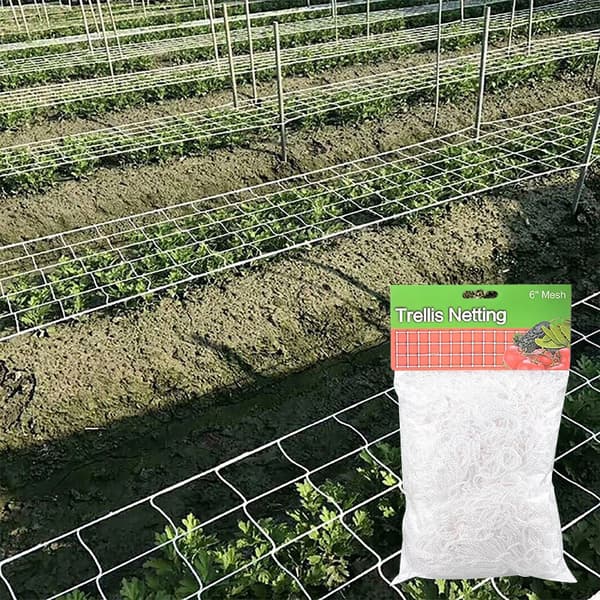 Net til klatreplanter 1,67x5m, stortmasket støttenet