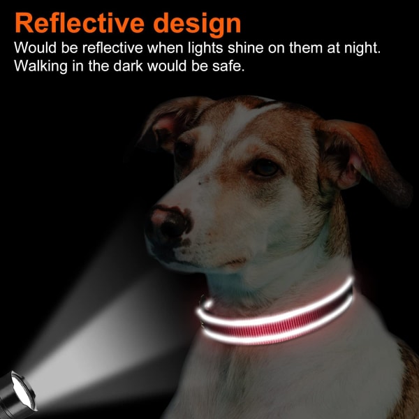 Nylon hundehalsbånd med reflekterende stripe, klassisk polstret halsbånd for