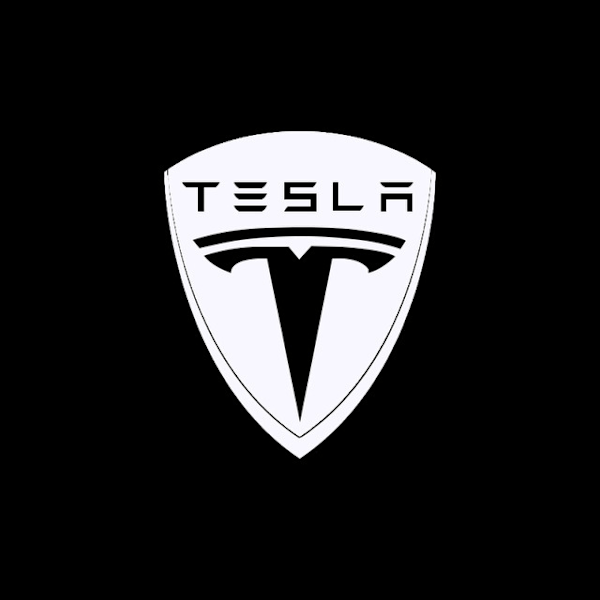 2 stk. Velkommenlys egnet for Tesla, dedikert TESLA MODEL3 B