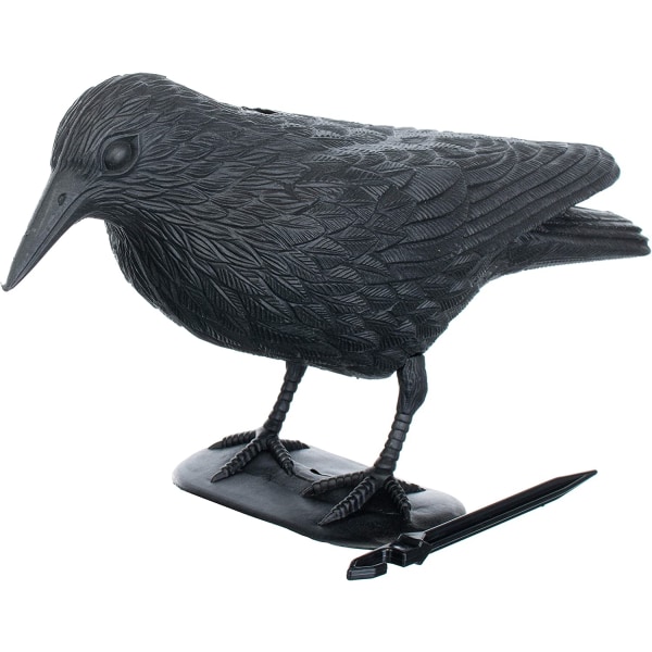 Pigeon Repellent - Crow - Karkottaa pieniä lintuja ja sikoja