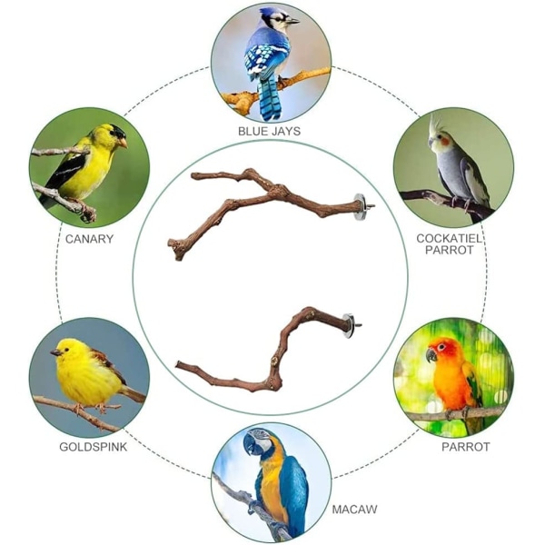 Trefuglleker, papegøyestolper, naturlig treperc