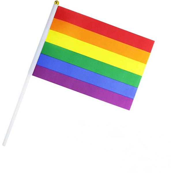 50 delar pride flagga liten mini flagga bärare flaggstång Amerika