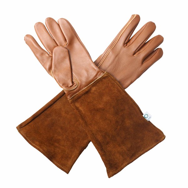 Havearbejde Handsker - Rose Beskæring Torn & Snit Bevis Lang Underarm P