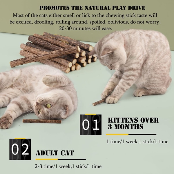 Pakke med 20 kattepinde, tørret katteurt Naturlig katteurt Tyggesti