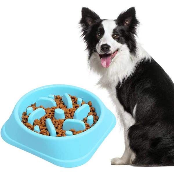 Blå - Skål för långsam utfodring, Vandal Proof Dog Bowl, Interaktiv avgift