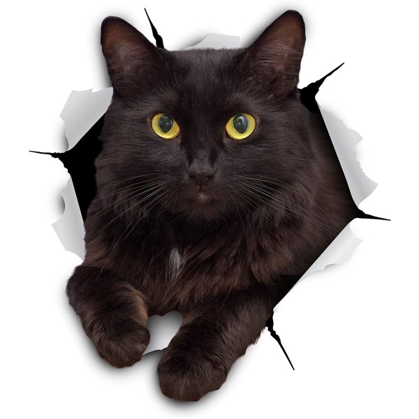 3D Cat Stickers - 5 Pack - Black Cat Wall Decals - Cat Lover