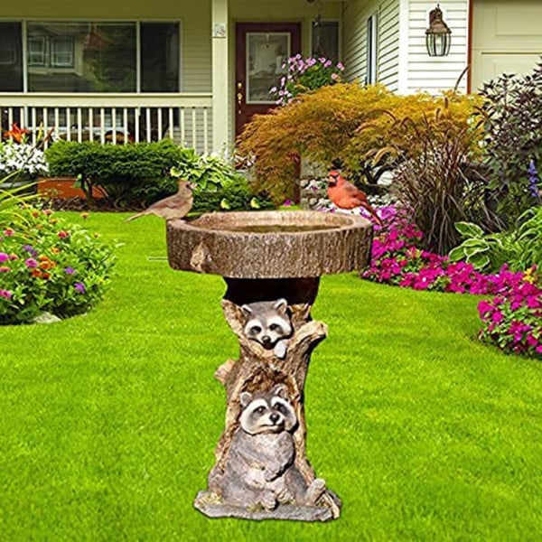 Puutarhanhoito juomavesi koristelu puutarhan koristelu raccoo