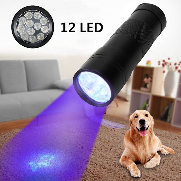 Manicure Lys Violet Lommelygte 12LED Lommelygte UV Ultraviolet