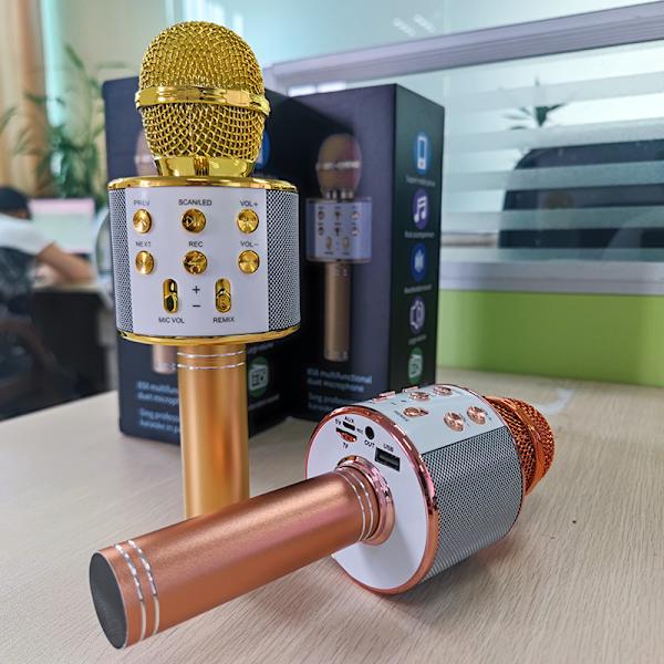 2 kappaletta ruusukullanväristä lasten mikrofonia, karaoke-mikrofoni syntymäpäiville