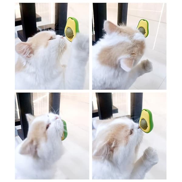 2 stk. Avocado Catnip Ball Spiselige Kitty Legetøj Til Katte Slikke Tænder C