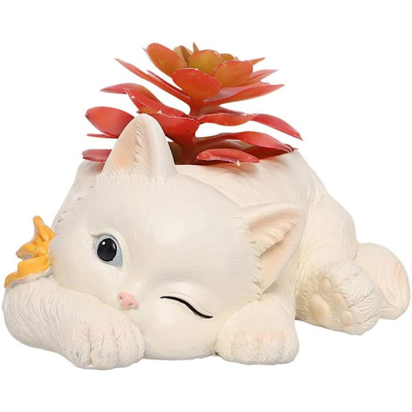 Kattkrukor, söta djurformade tecknade planter, suckulenta vas