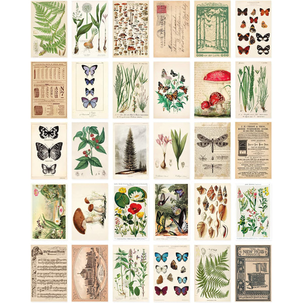 Postkortsett: 30 Vintage Style Botanicals, Nature og Mayfly Pos