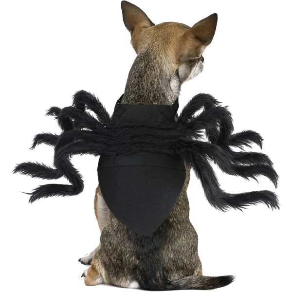 Halloween kæledyrskostume Edderkop Cosplay Beklædning Hund Kat Edderkop Pris