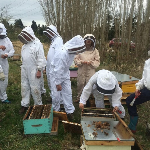 Mehiläishoitopuku Ammattimaiset mehiläissuojavarusteet