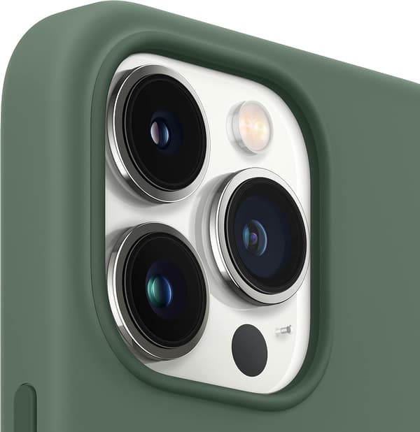 Silikoneetui med MagSafe (kompatibel med iPhone 13 Pro) - Eucalyptus
