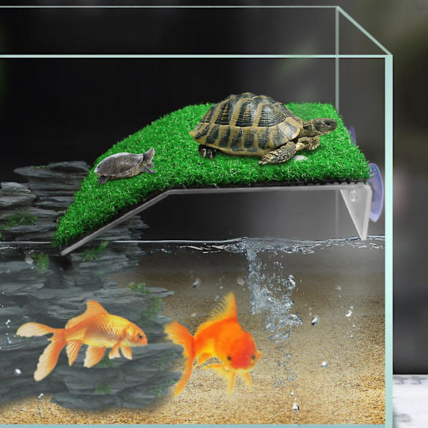 Skildpadde solbadningsplatform, græsskildpadde rampe til skildpaddetank, reptil