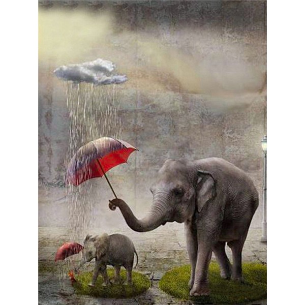 30x40cm 5D DIY Diamond Painting Full, Éléphant#B, Tee-se-itse Diamond Rhine