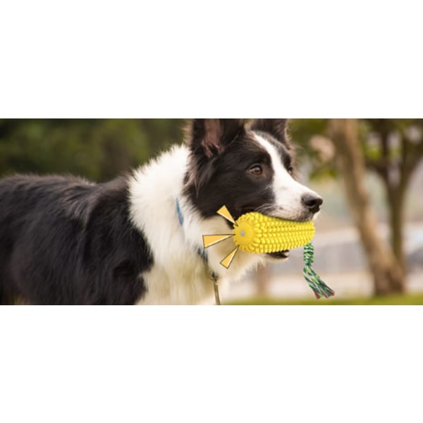Hundleksaker Majs Slipning Stick Hund Tandborste Sugkopp Hund Leksak