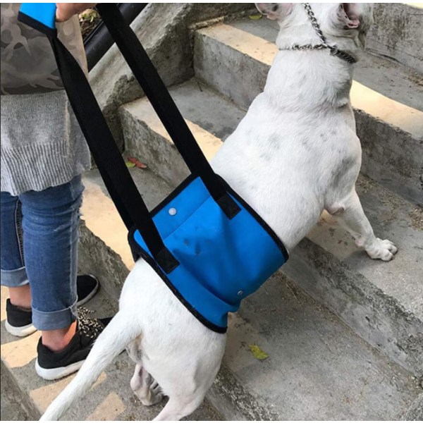 Dog Lift Support Sele Rehabiliteringsstøtte Assist Seil for