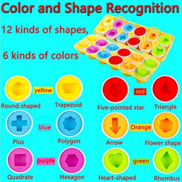 Plast Assorted Egg Former og farger Montessori Toy Recogni