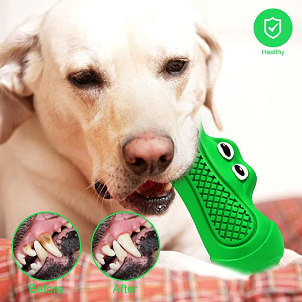 Grønt uforgængeligt hundelegetøj med store hundeøjne, hundetyggetøj, Ne  31e7 | Fyndiq