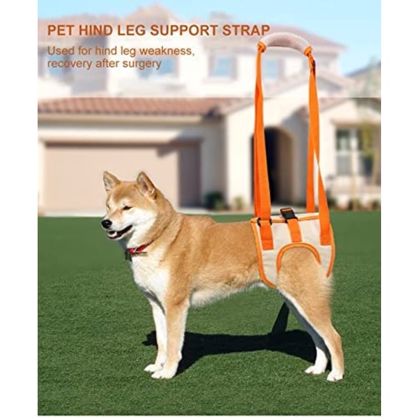 Orange hundhjälpband (M midja 35-45cm, ben 24cm), mesh hundlyft