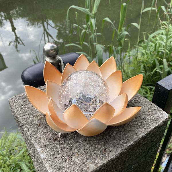 Blå Sol Lotus Blomster Varm Hvid Sol Have Lamper