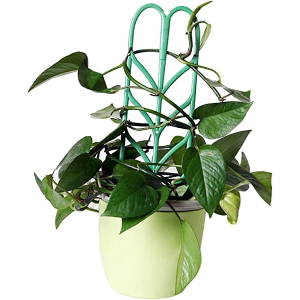 6 st Mini Plantor Inomhus Växter Inomhus Krukväxter Patio Cli