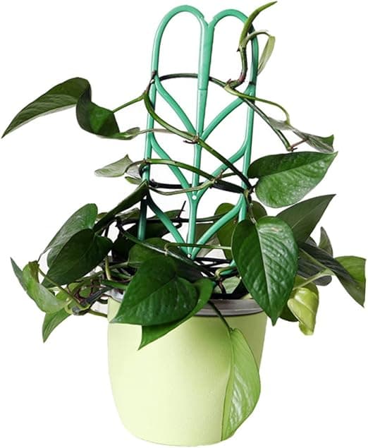 6 stk. Mini planter til indendørs stueplanter Indendørs plantepotter Patio Cli