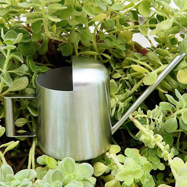 Tyk børstet rustfrit stål vandkande 500ml lang tud mini