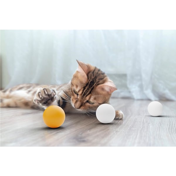 12-pack Pingisbollar (1-pack) - Vita