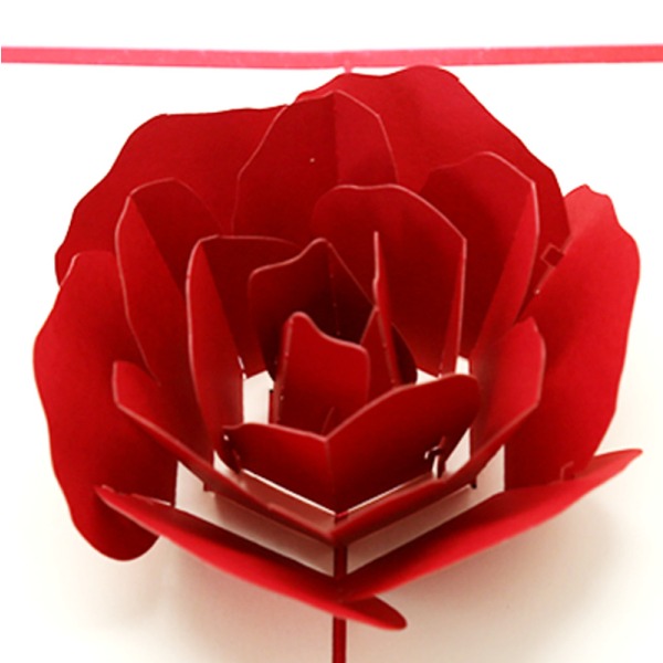 4 st 3D Pop Up Gratulationskort för födelsedag, fruönskemål, rosa ros
