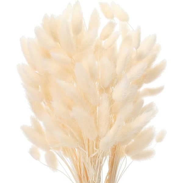 (Hvid) 60 tørrede blomsterstængler falmer aldrig Naturlige dekorationer B