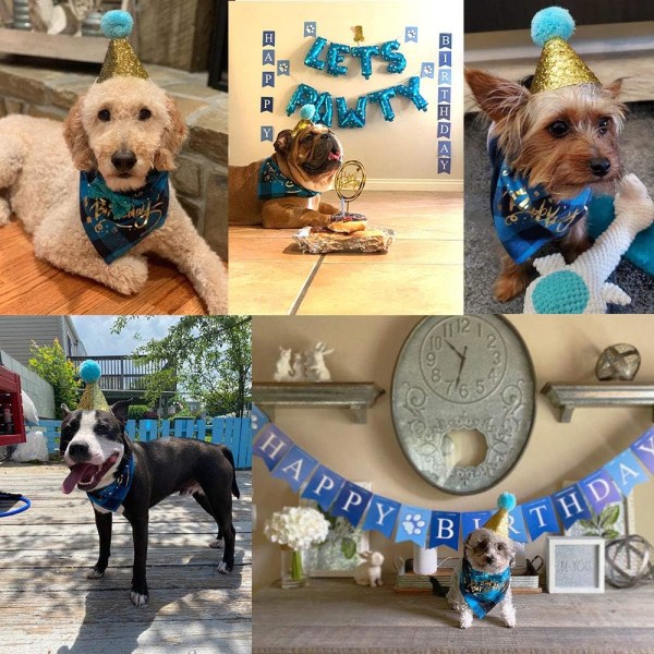 Hundebursdagsbandana, blå, rekvisita til 1. bursdagsfest til hund