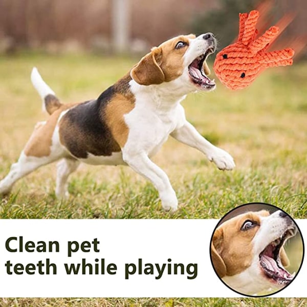 FANDE Pet Chew -hammastikut, pienten ja keskikokoisten koirien koulutus  97db | Fyndiq