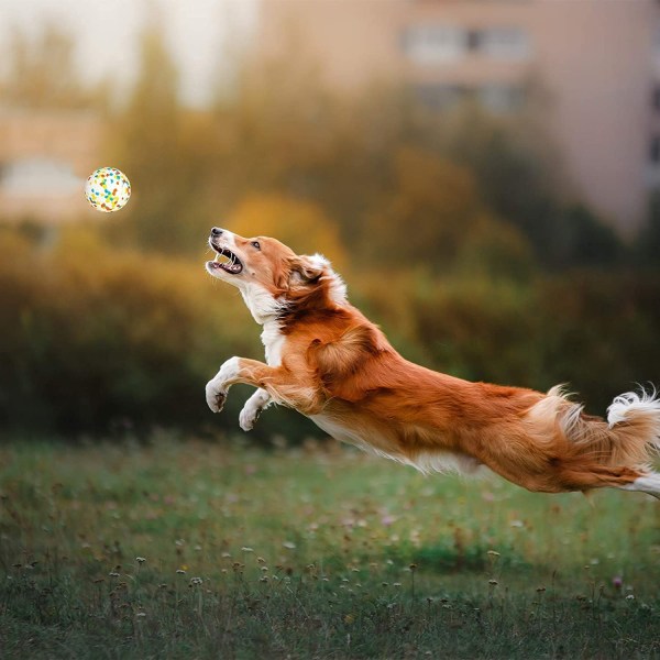 Hundboll, gummileksak för hund, oförstörbar hundboll, hårt tuggleksak av gummi