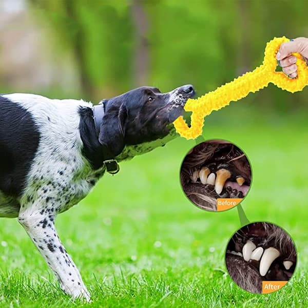 2 stk. Gule Hundetyg i Gummi i Form af Knogle