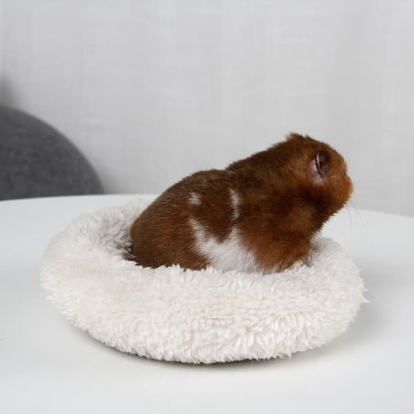 Hamsterbädd, Rund Sammet Varm Sovmatta Pad för Hamster/Igelkott