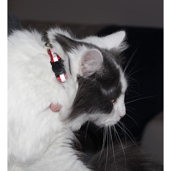 Oppgradert versjon - Reflekterende kattehalsbånd med klokke, sett med 6