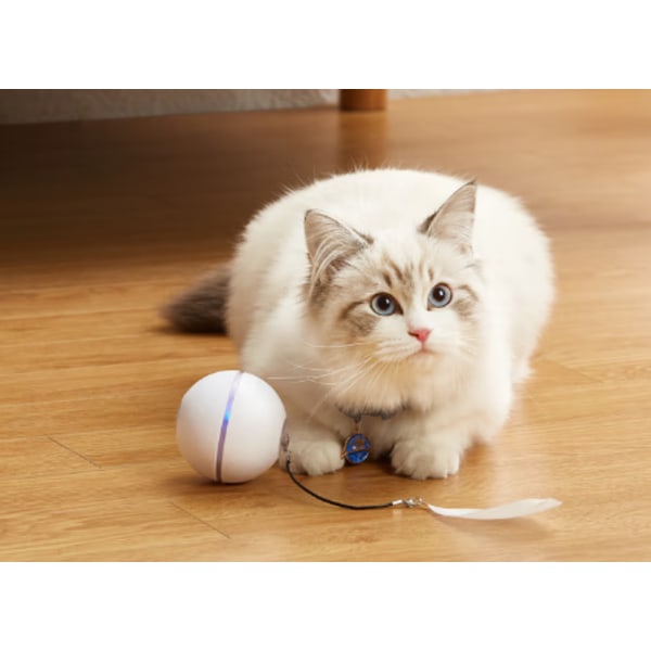 Blå interaktiv katteleke, smart selvroterende sprettball for