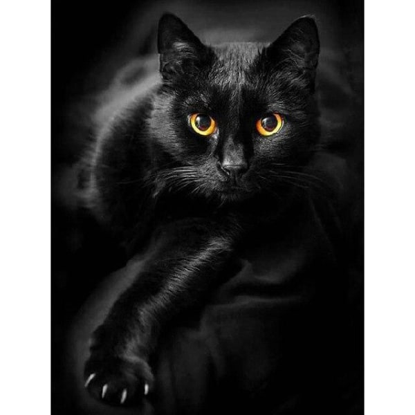 30 x 40 cm, svart katt Diamond painting Diamantbroderimålning