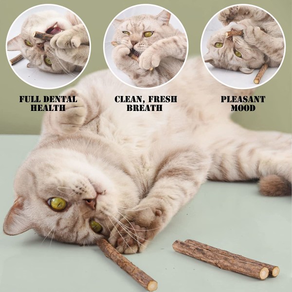 Pakke med 20 kattepinner, tørket kattemynte Naturlig kattemyntetyggesti